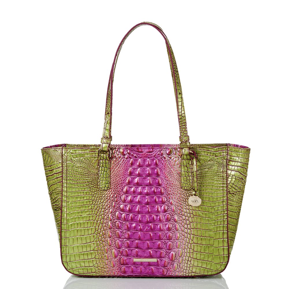 Brahmin Ashlee Limeade Ombre Melbourne