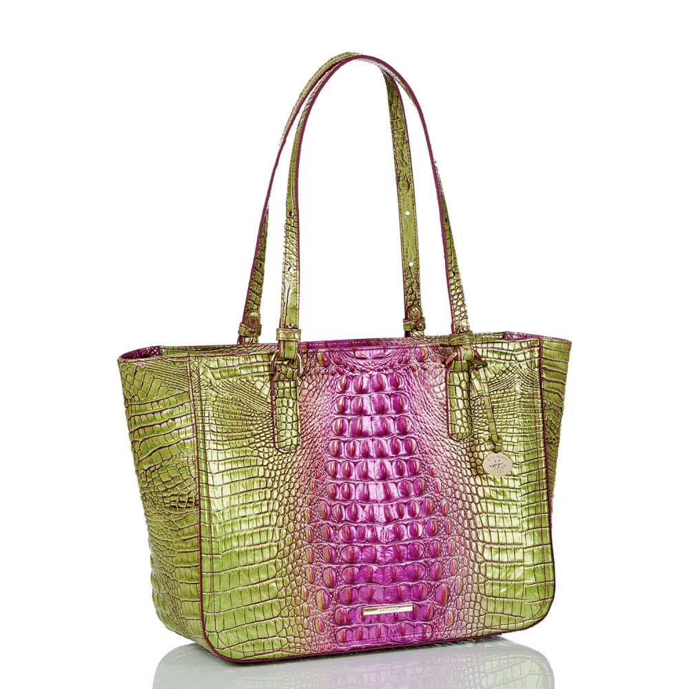 Brahmin Ashlee Limeade Ombre Melbourne