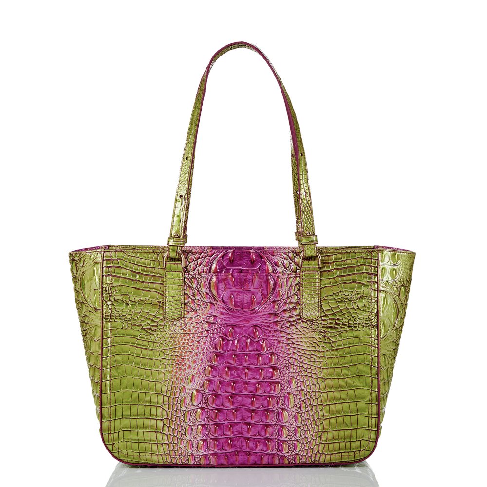 Brahmin Ashlee Limeade Ombre Melbourne