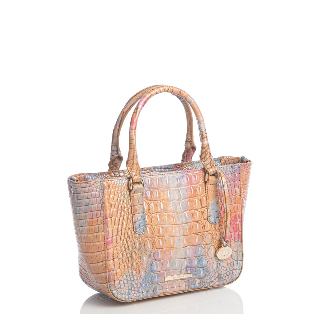 Brahmin Small Ashlee Courage Melbourne