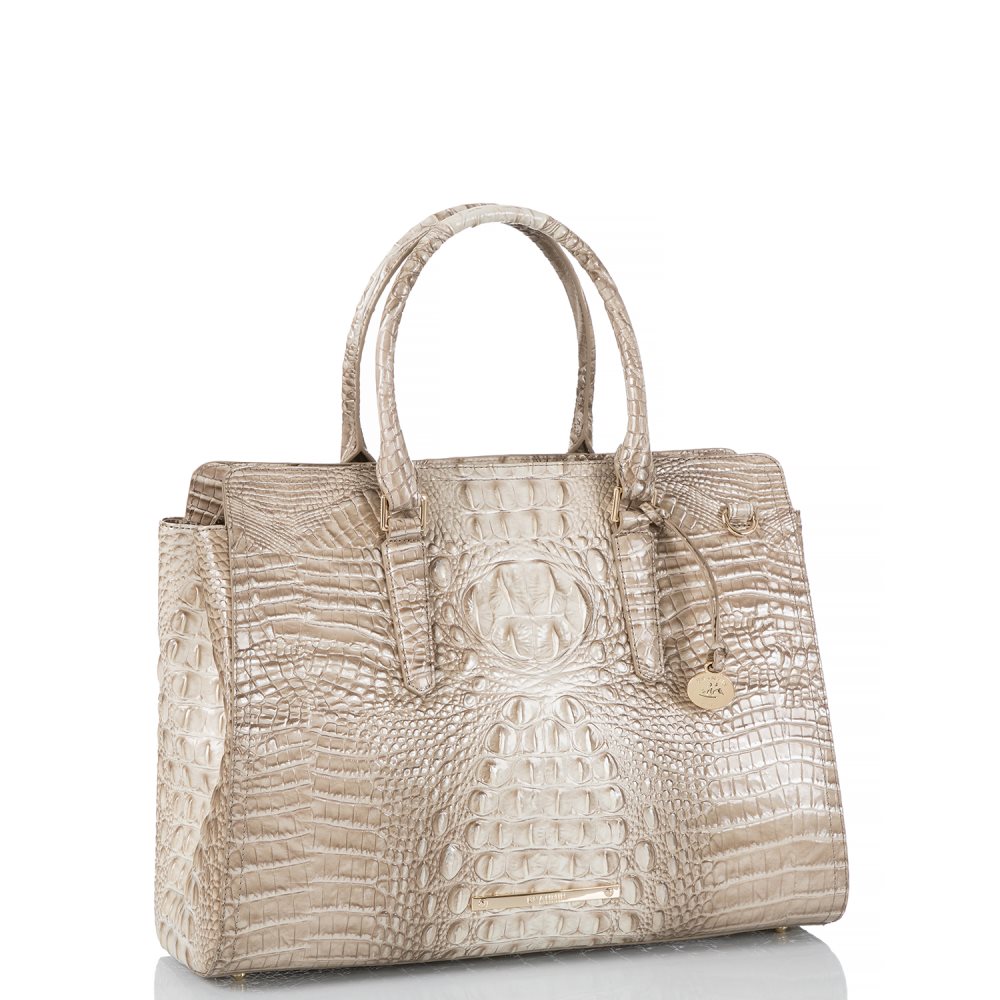 Brahmin Finley Carryall Clay Melbourne