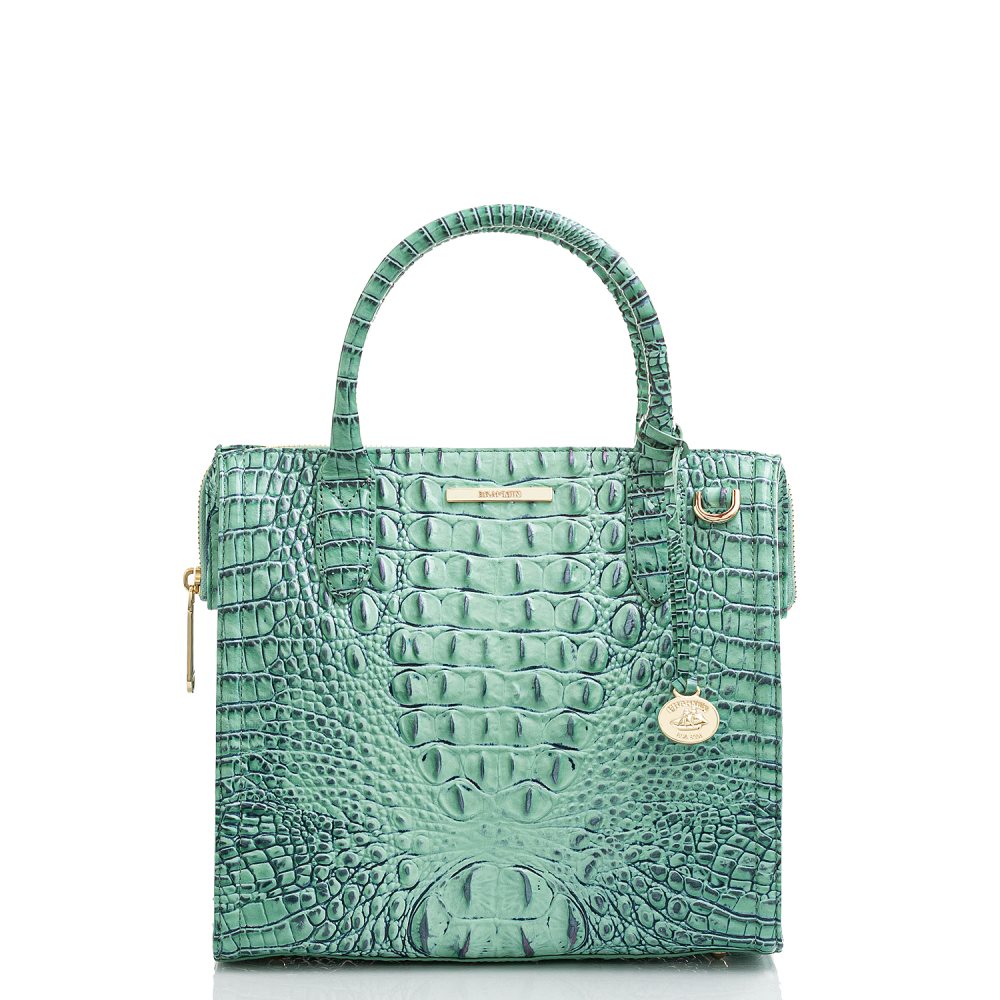 Brahmin Small Caroline Biscay Melbourne