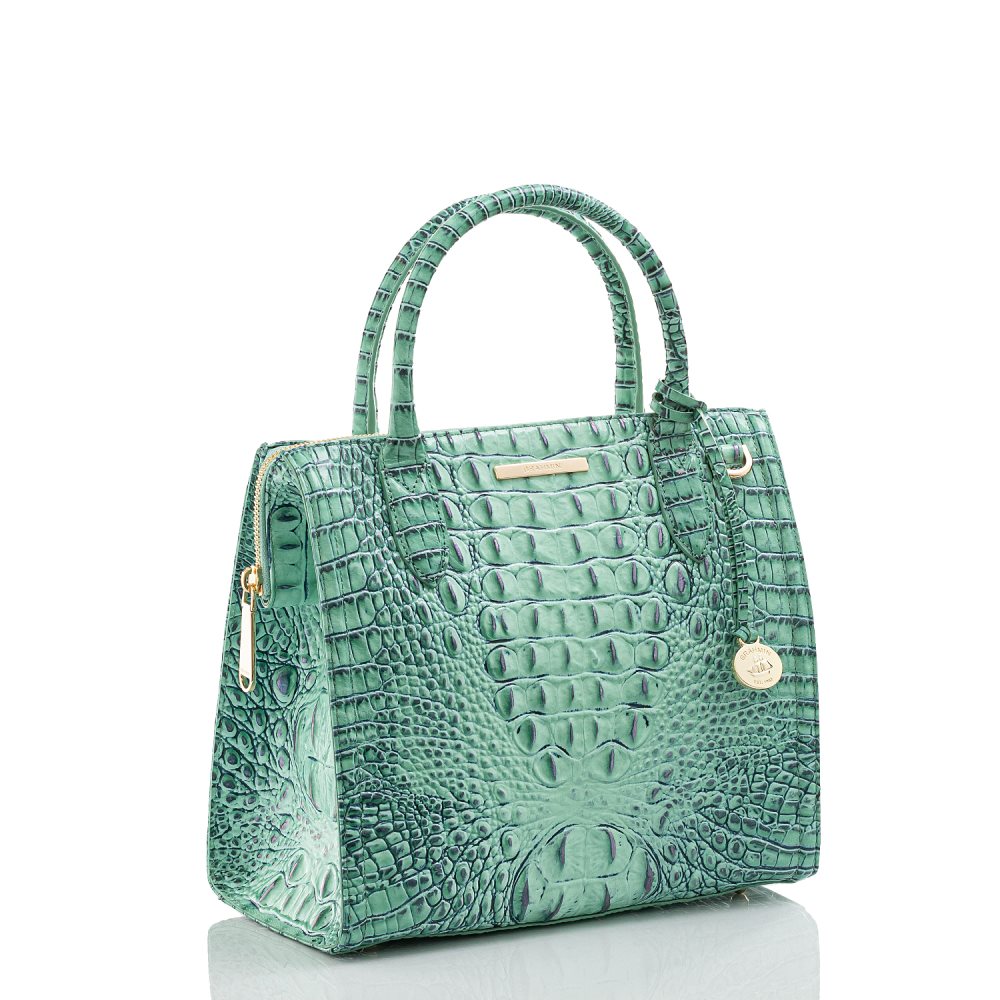 Brahmin Small Caroline Biscay Melbourne [WQOXNbZA] - $112.00 : Brahmin ...