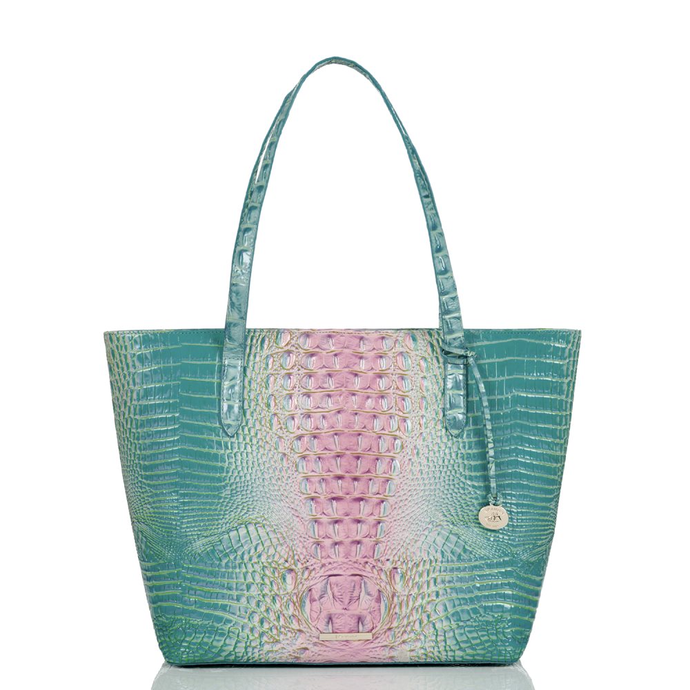 Brahmin Brooke Cotton Candy Ombre Melbourne