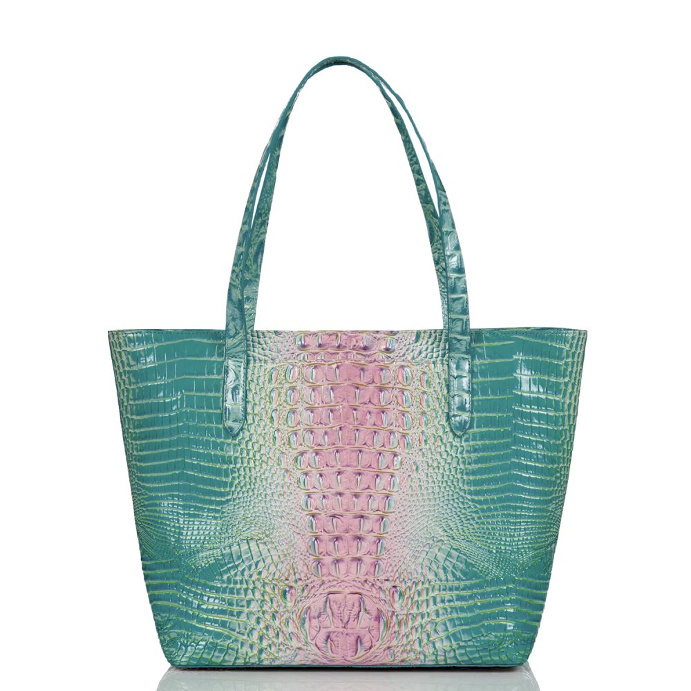 Brahmin Brooke Cotton Candy Ombre Melbourne