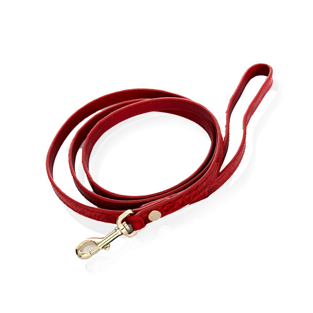 Brahmin Small Pet Leash Carnation Melbourne