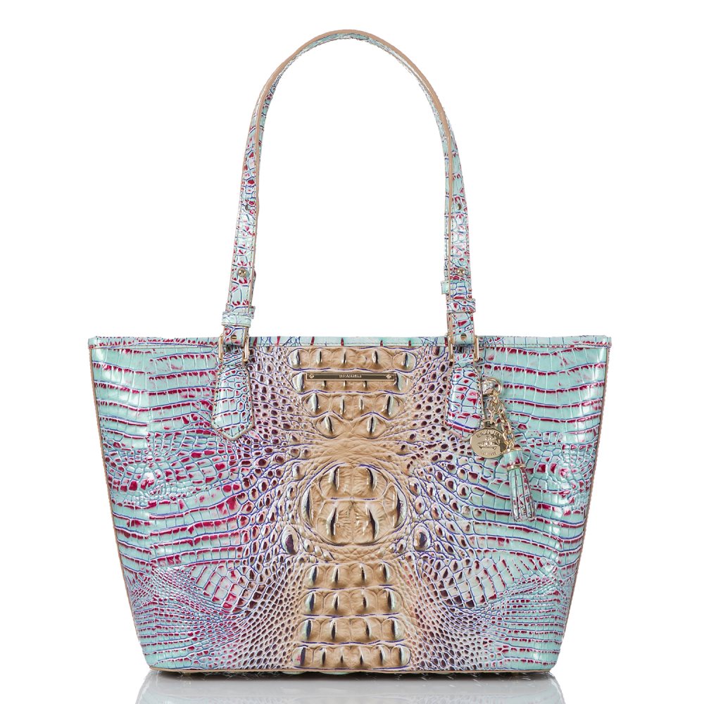 Brahmin Medium Asher Seltzer Ombre Melbourne