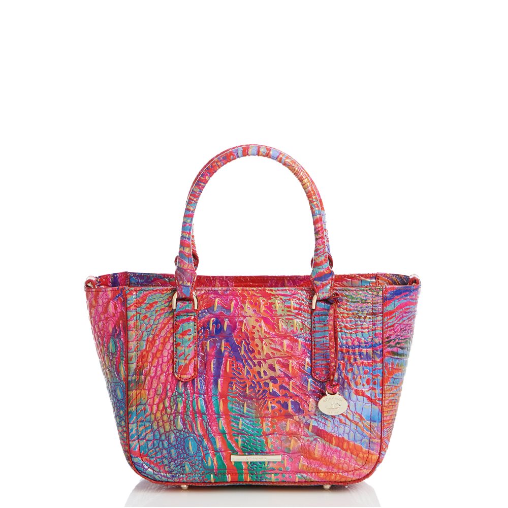 Brahmin Small Ashlee Rainbow Fish Melbourne