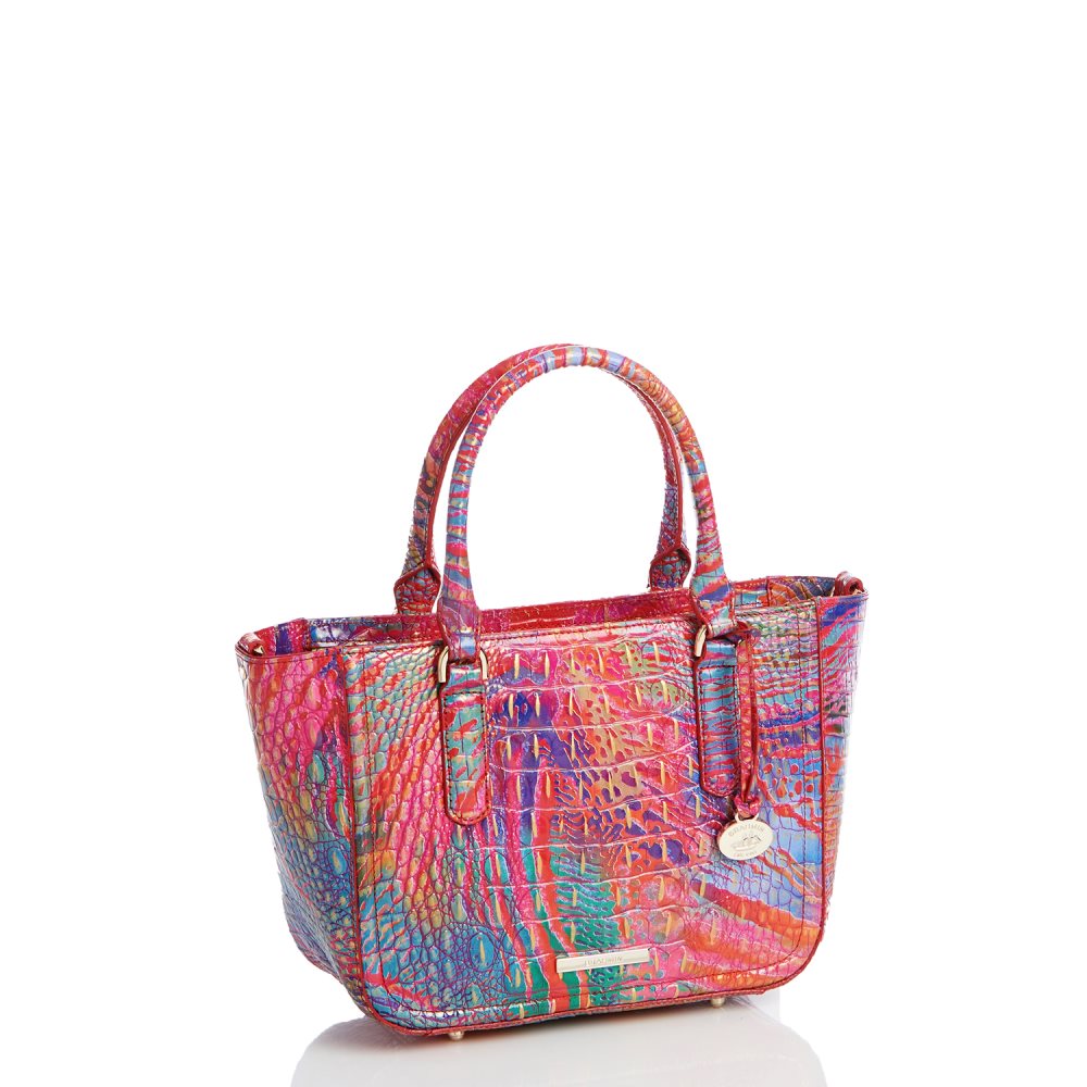 Brahmin Small Ashlee Rainbow Fish Melbourne