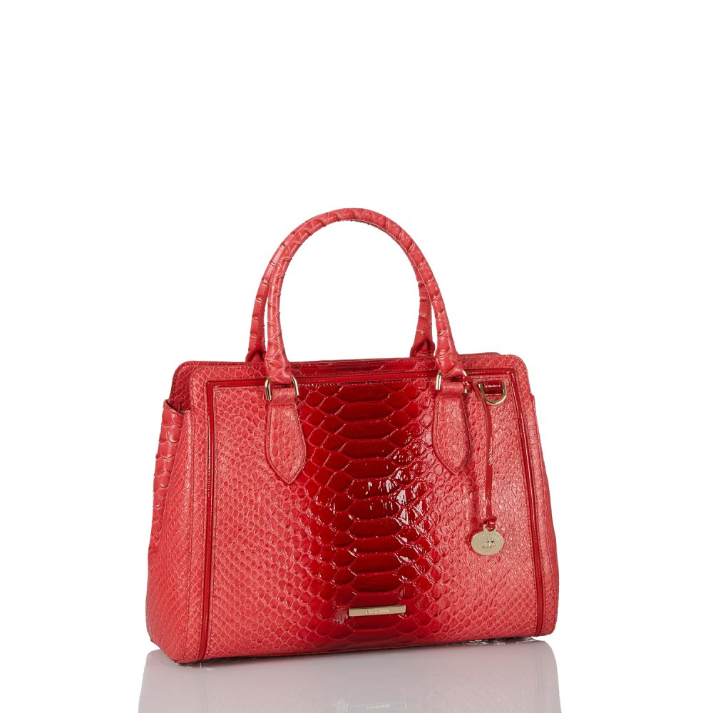 Brahmin Small Finley Flame Calimero