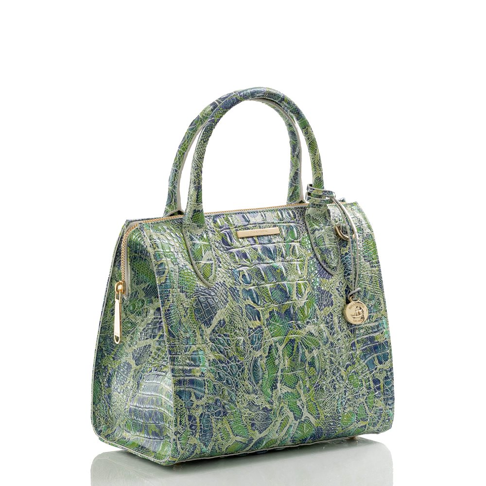 Brahmin Small Caroline Green Viper Melbourne