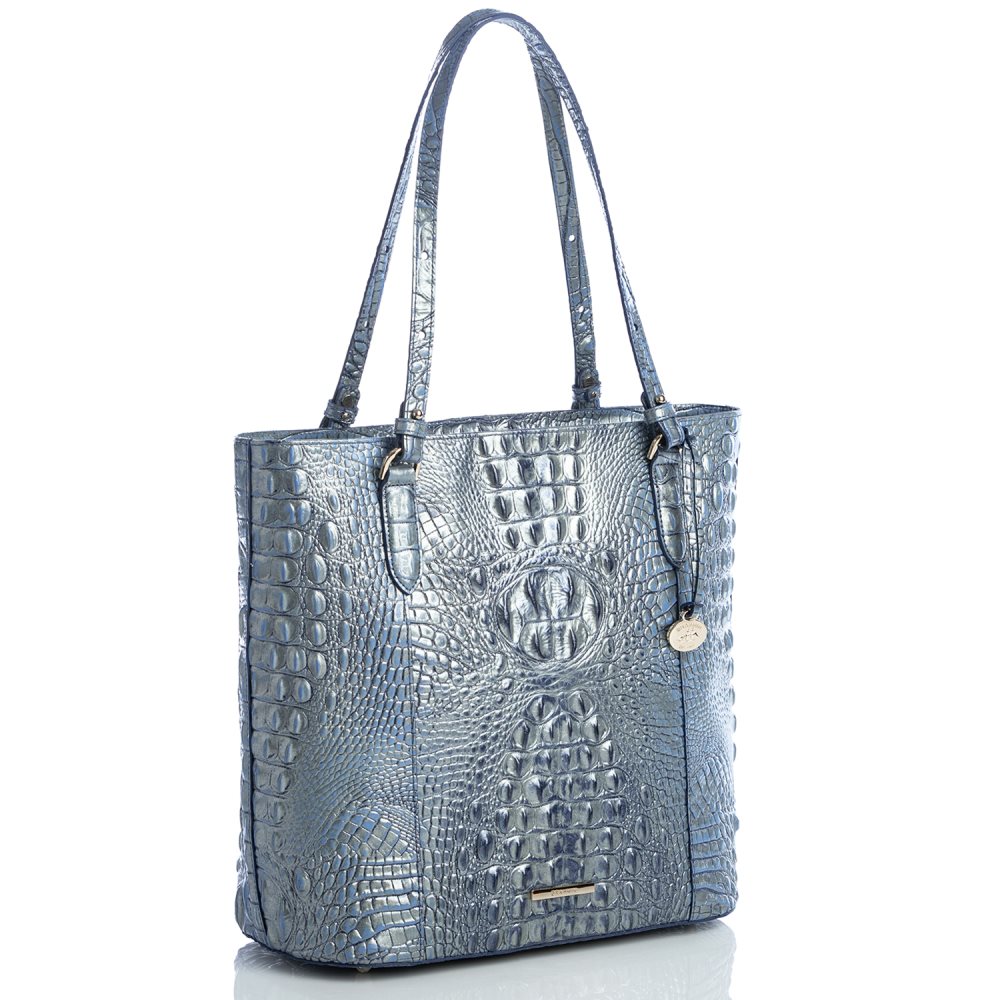 Brahmin Abigail Serenity Ombre Melbourne