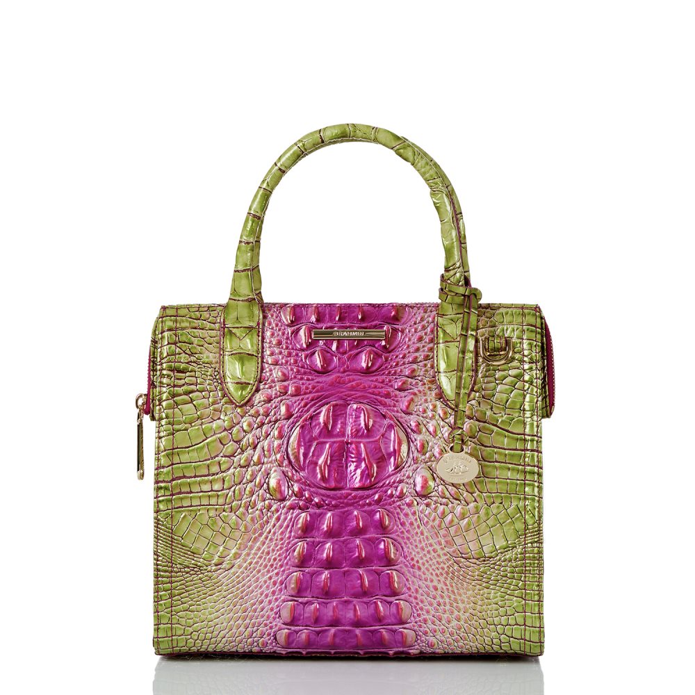 Brahmin Small Caroline Limeade Ombre Melbourne