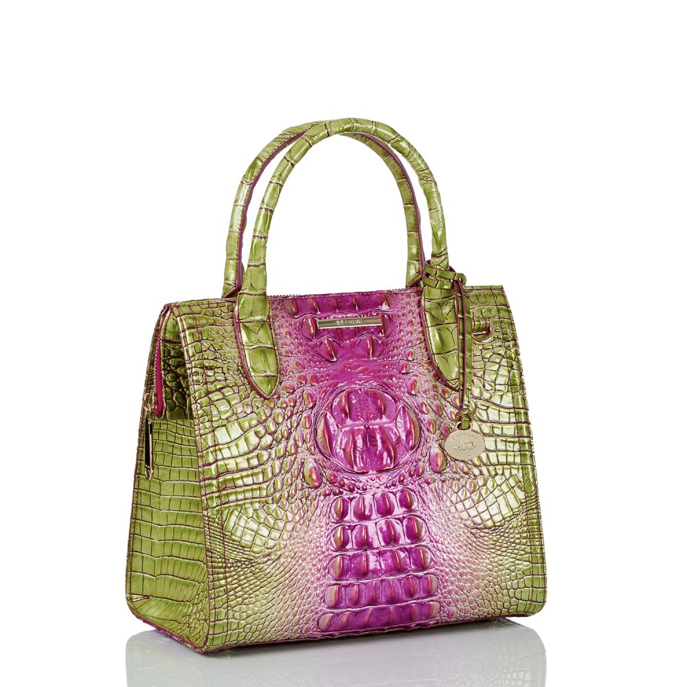 Brahmin Small Caroline Limeade Ombre Melbourne