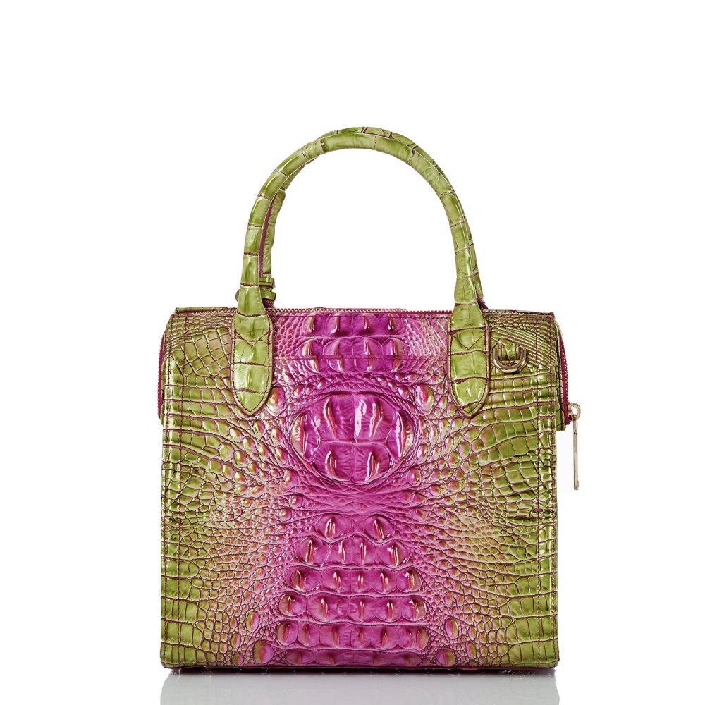 Brahmin Small Caroline Limeade Ombre Melbourne