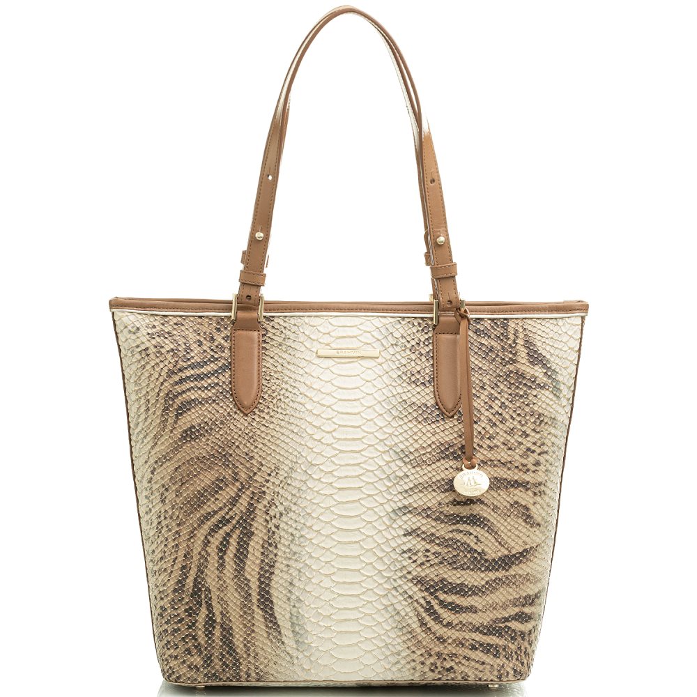 Brahmin Asher Cappuccino Delancy