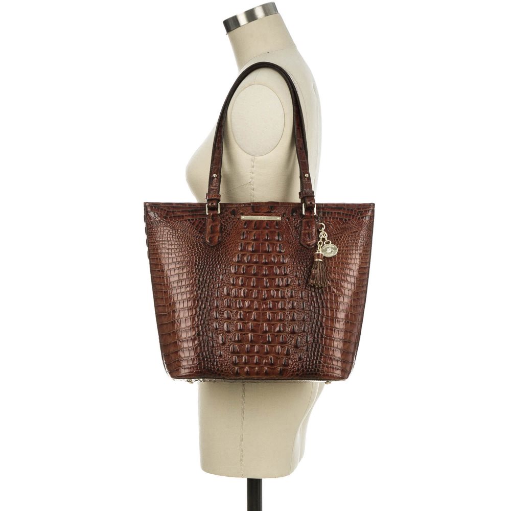 Brahmin Asher Cappuccino Delancy