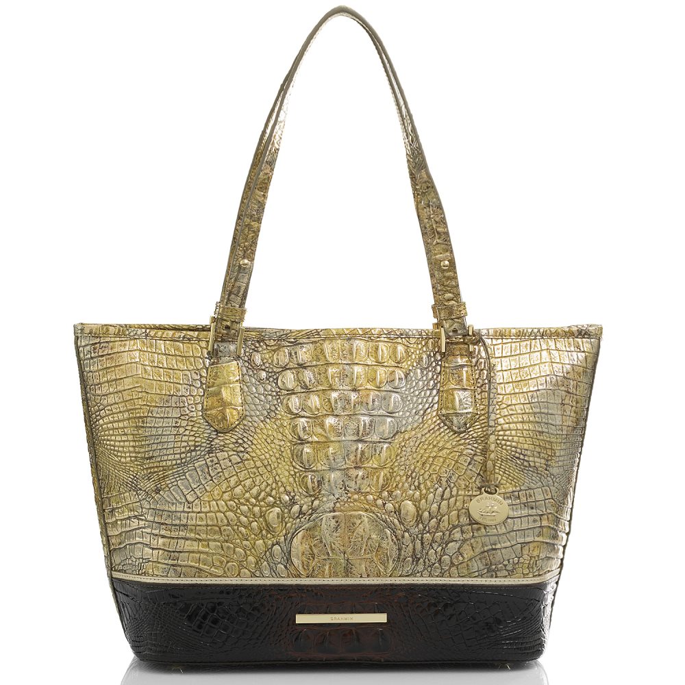 Brahmin Medium Asher Symphony Katla