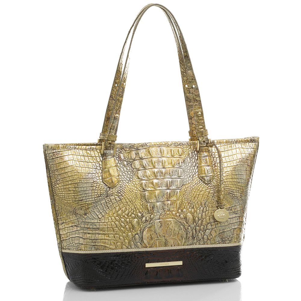 Brahmin Medium Asher Symphony Katla