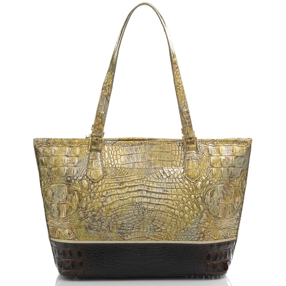 Brahmin Medium Asher Symphony Katla