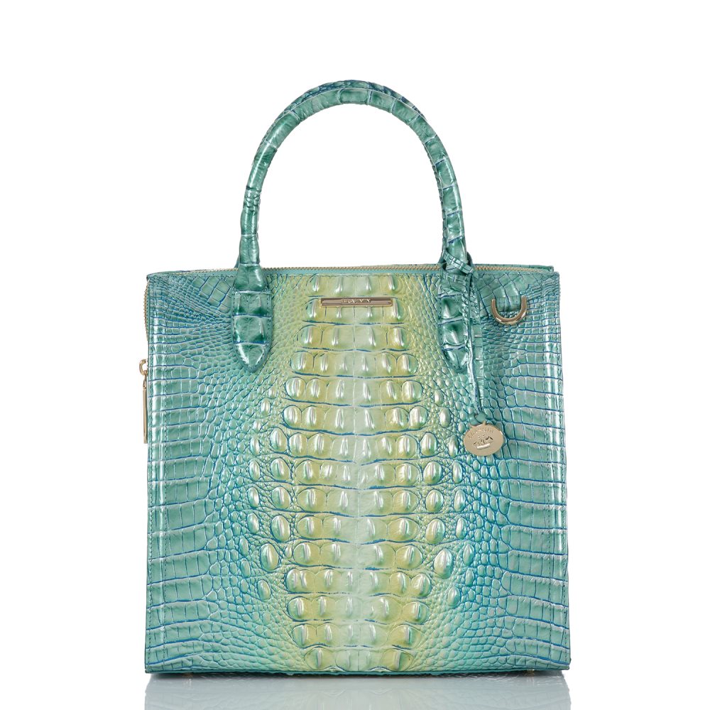 Brahmin Caroline Seafoam Ombre Melbourne