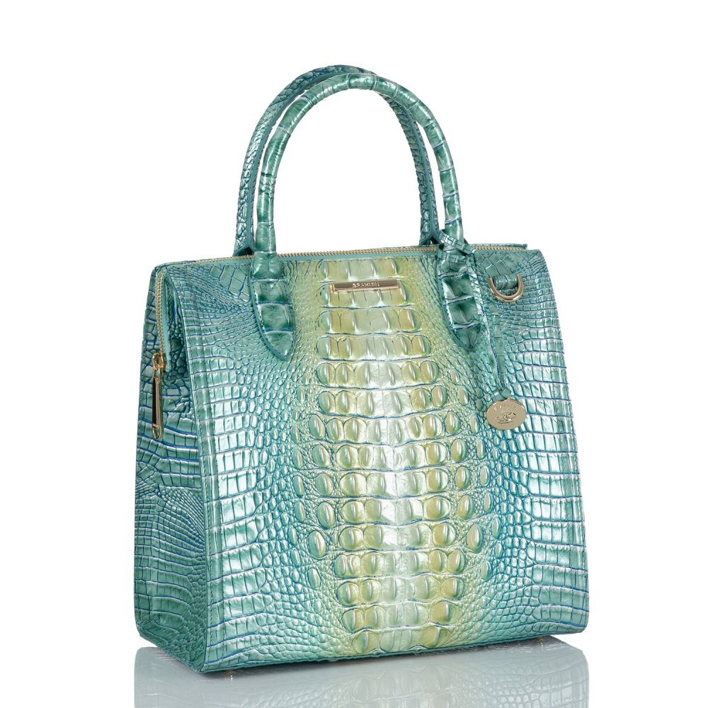 Brahmin Caroline Seafoam Ombre Melbourne