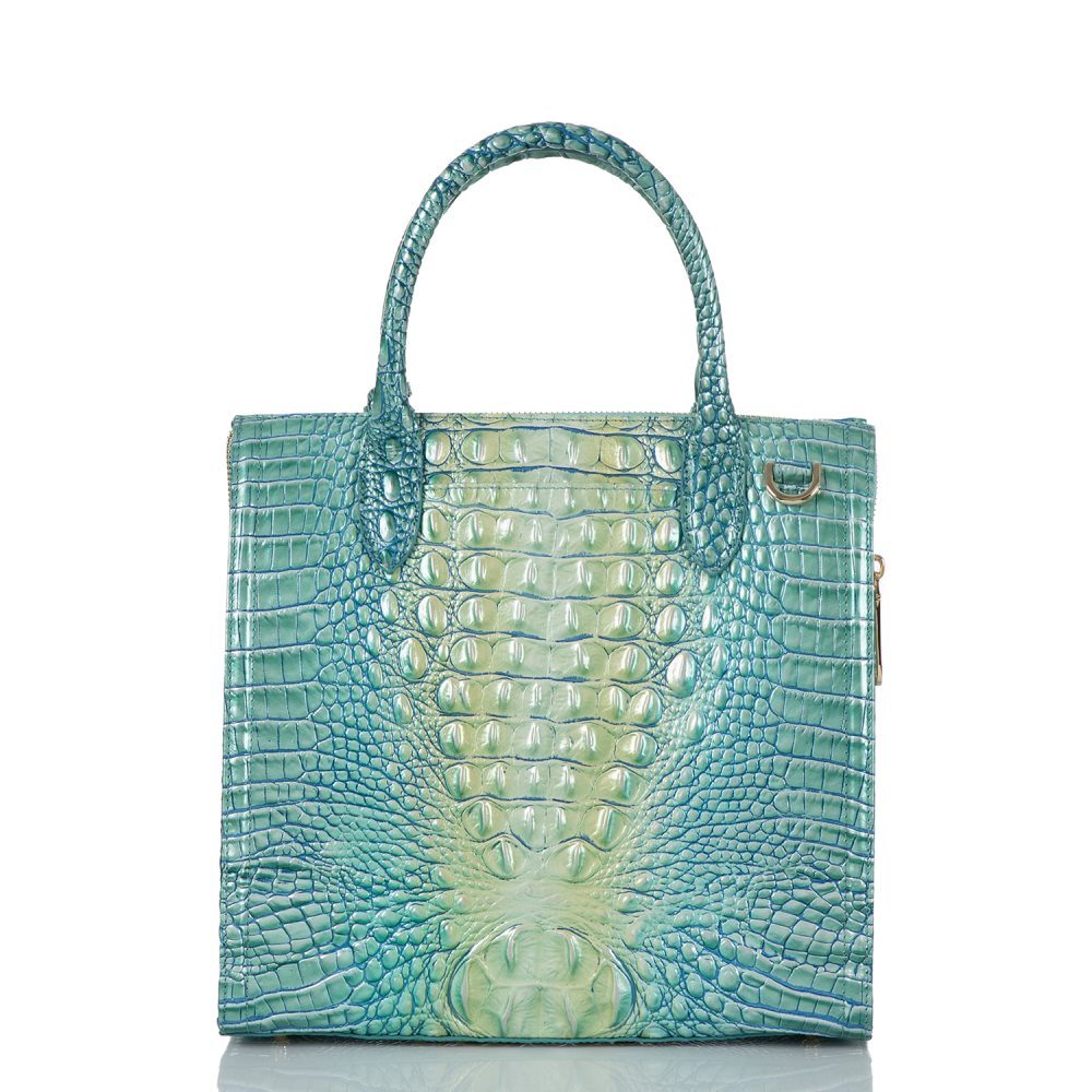 Brahmin Caroline Seafoam Ombre Melbourne