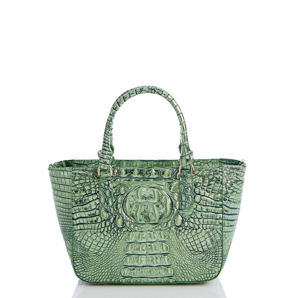 Brahmin Small Ashlee Agave Melbourne