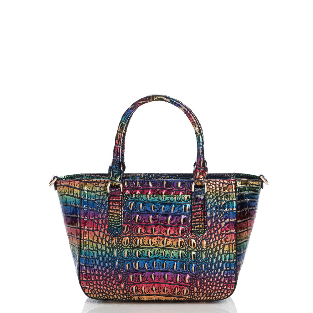 Brahmin Small Ashlee Technicolor Melbourne