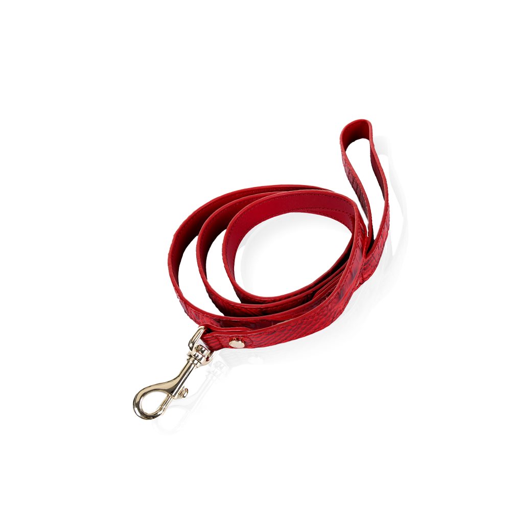 Brahmin Large Pet Leash Carnation Melbourne