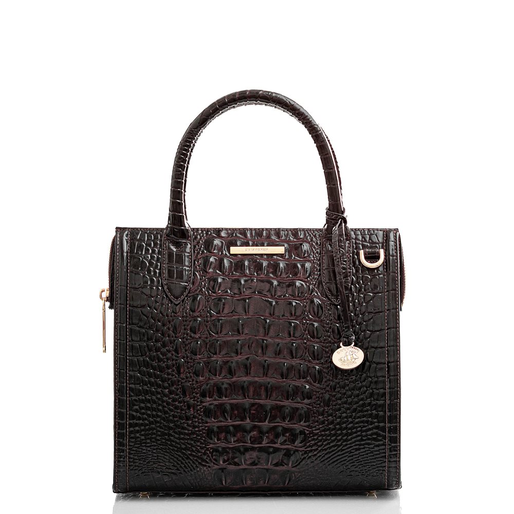 Brahmin Small Caroline Cocoa Ombre Melbourne