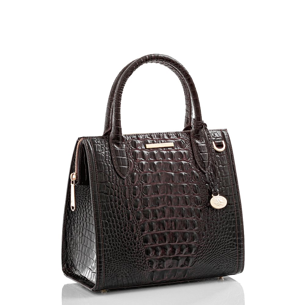 Brahmin Small Caroline Cocoa Ombre Melbourne