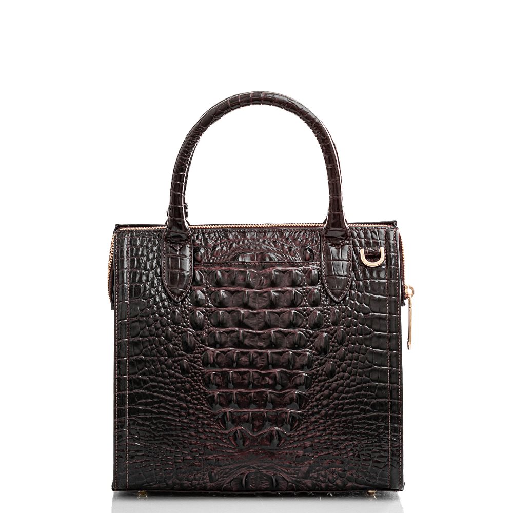 Brahmin Small Caroline Cocoa Ombre Melbourne