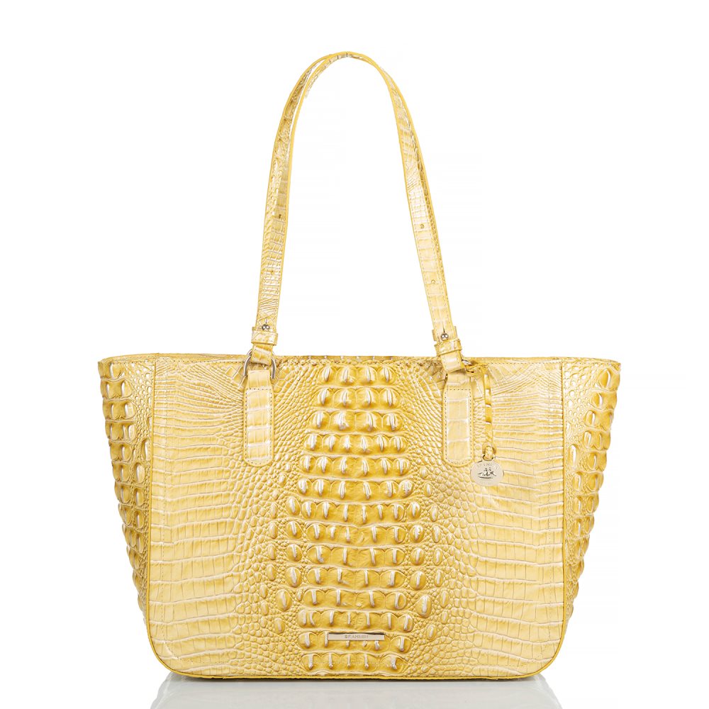 Brahmin Ashlee Butter Melbourne