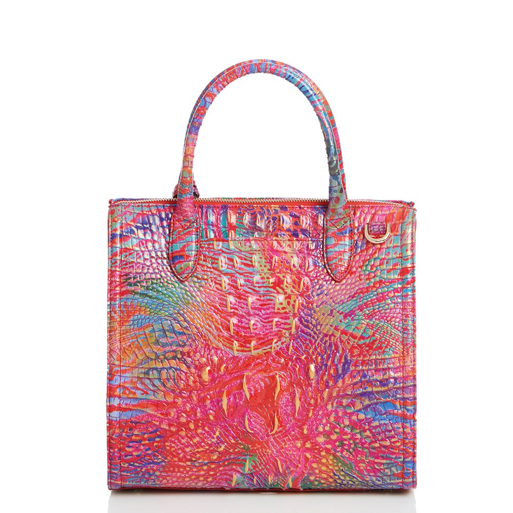 Brahmin Caroline Rainbow Fish Melbourne