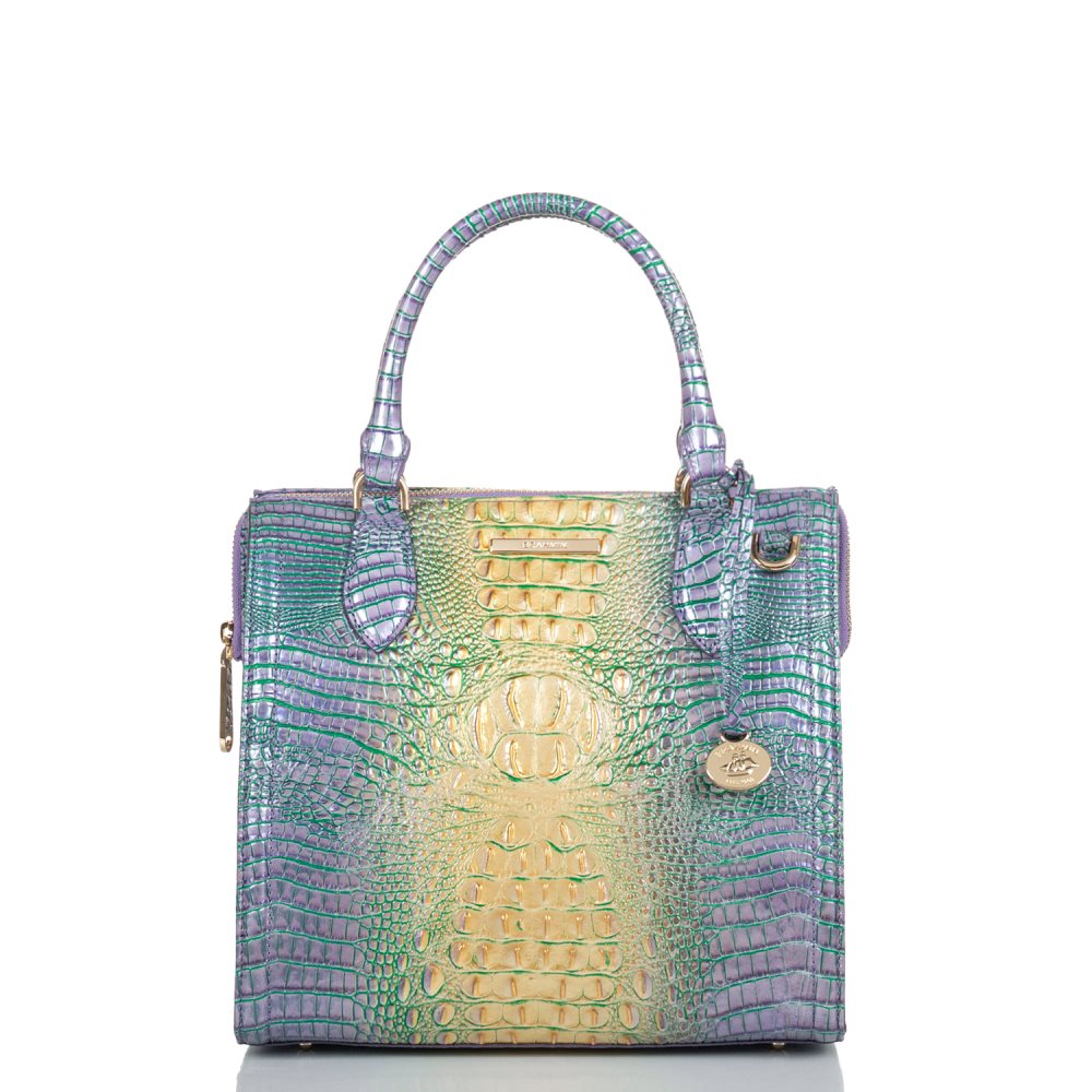 Brahmin Small Caroline Viola Ombre Mini Melbourne