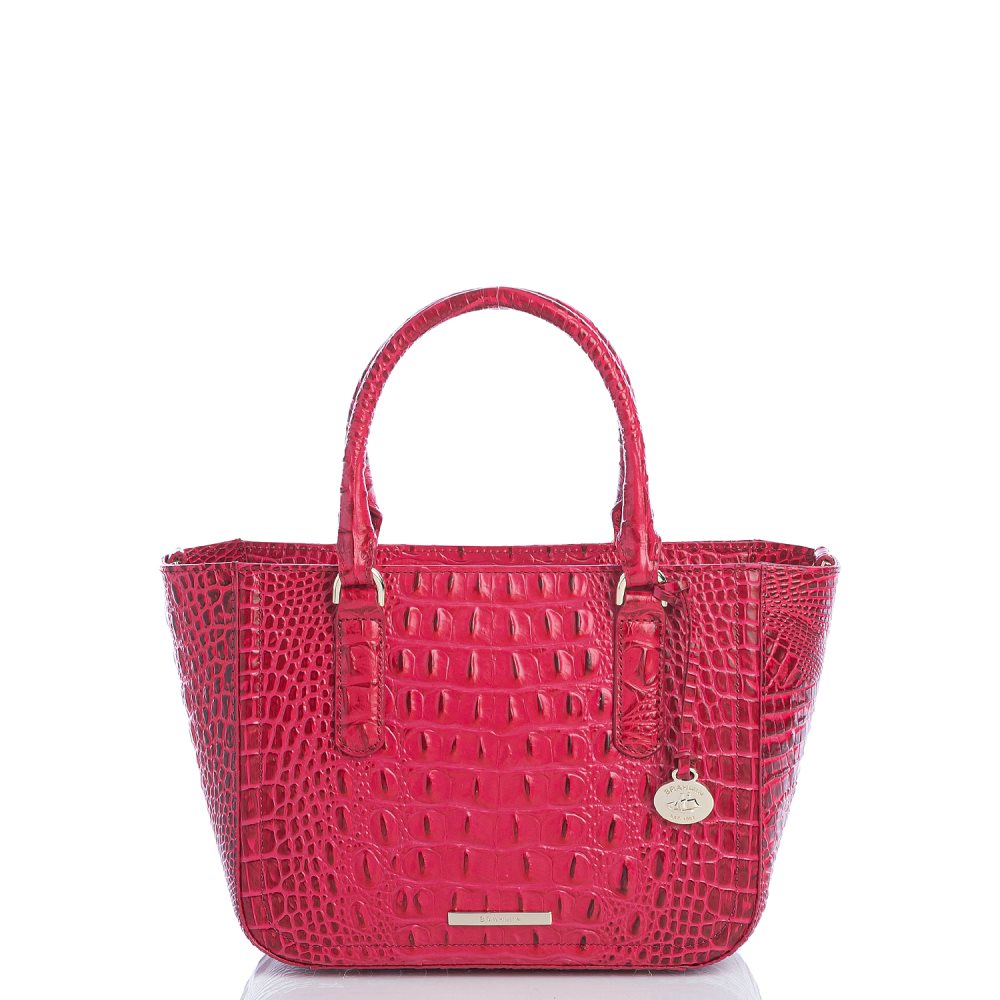 Brahmin Small Ashlee Sweetheart Ombre Melbourne