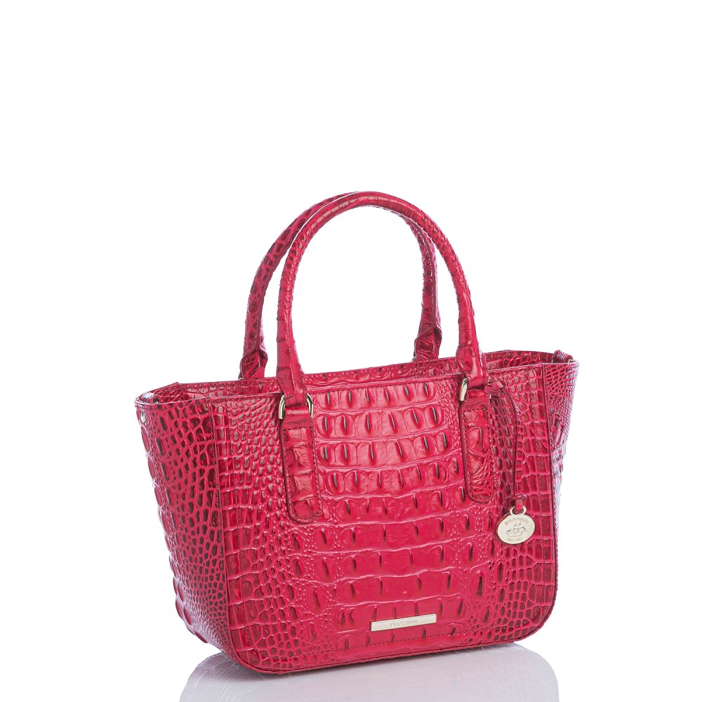 Brahmin Small Ashlee Sweetheart Ombre Melbourne