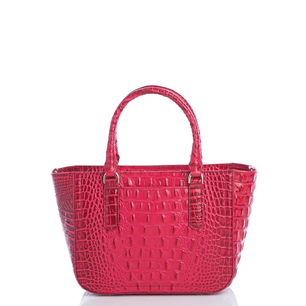 Brahmin Small Ashlee Sweetheart Ombre Melbourne