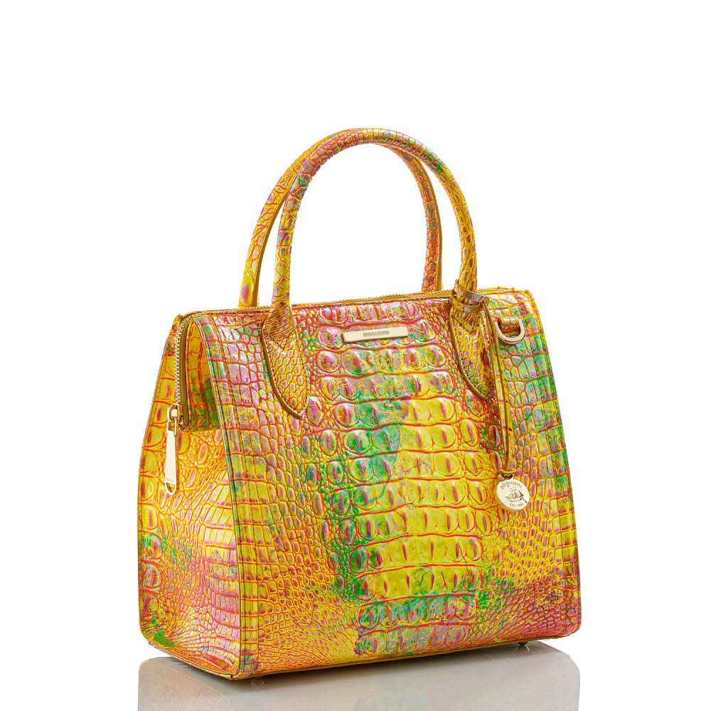 Brahmin Small Caroline Spritz Melbourne