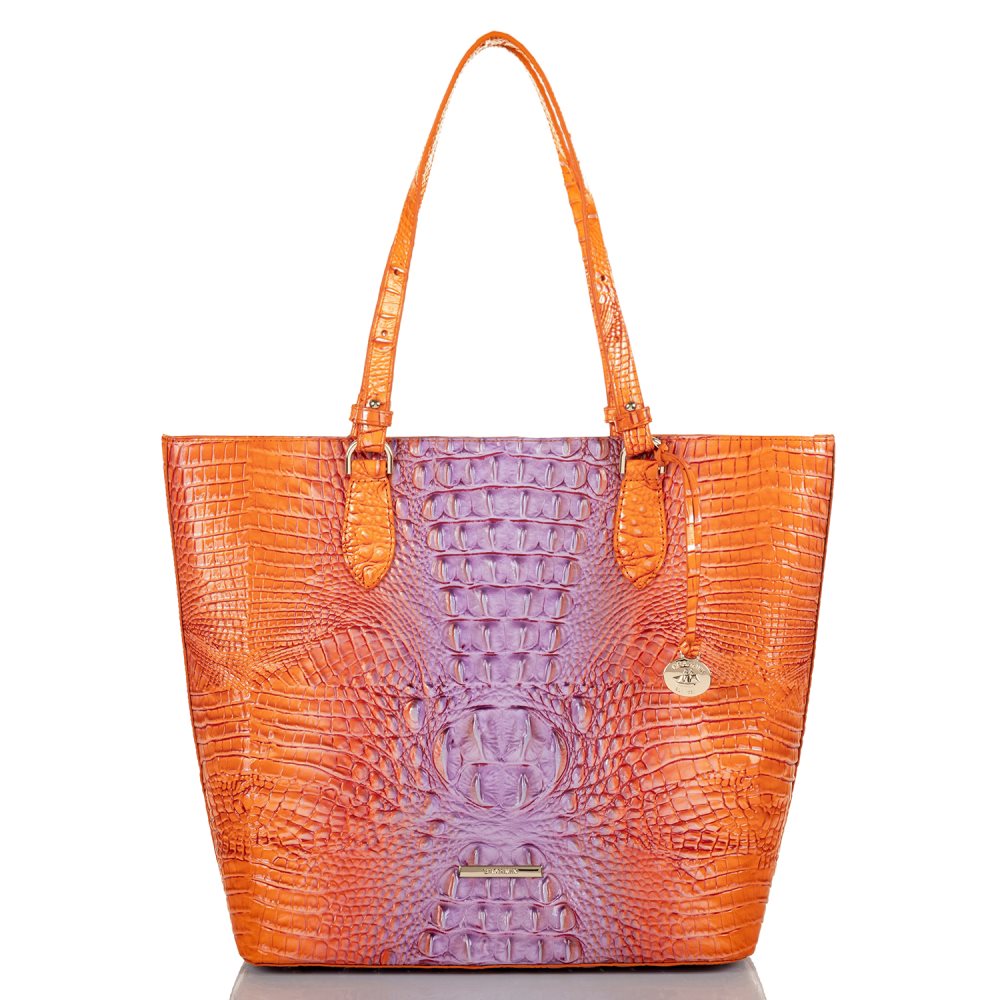 Brahmin Ellen Daiquiri Ombre Melbourne