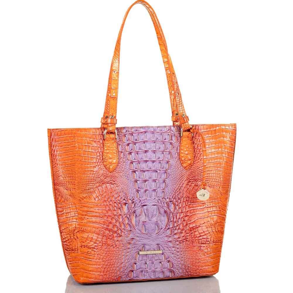 Brahmin Ellen Daiquiri Ombre Melbourne