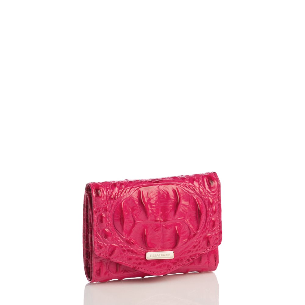 Brahmin Small Veronica Sweetheart Ombre Melbourne