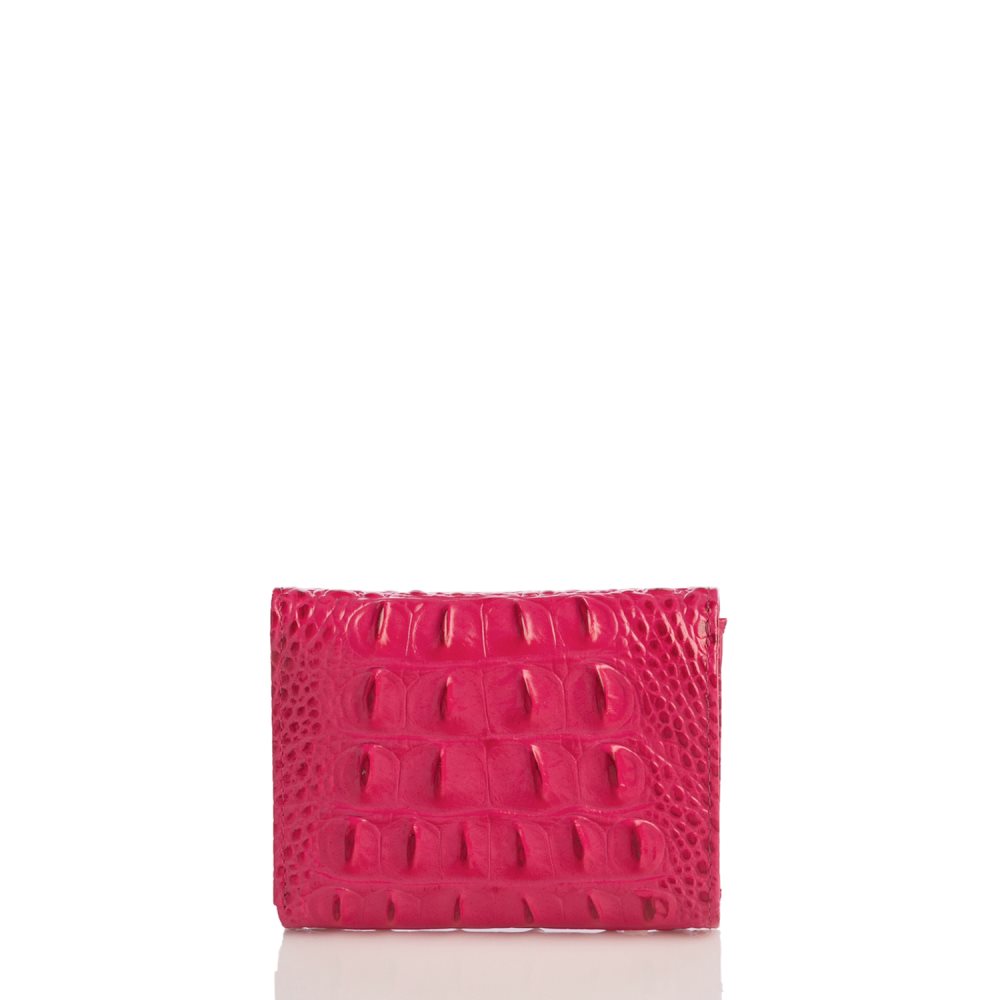Brahmin Small Veronica Sweetheart Ombre Melbourne