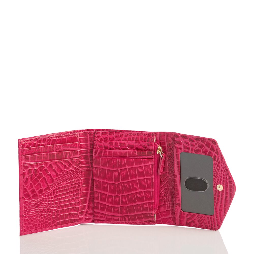 Brahmin Small Veronica Sweetheart Ombre Melbourne