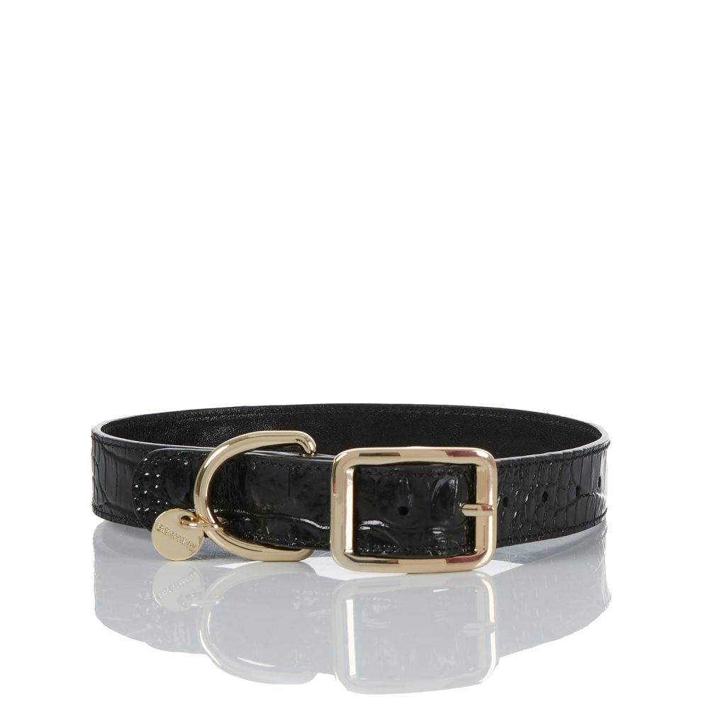 Brahmin Large Pet Collar Black Melbourne