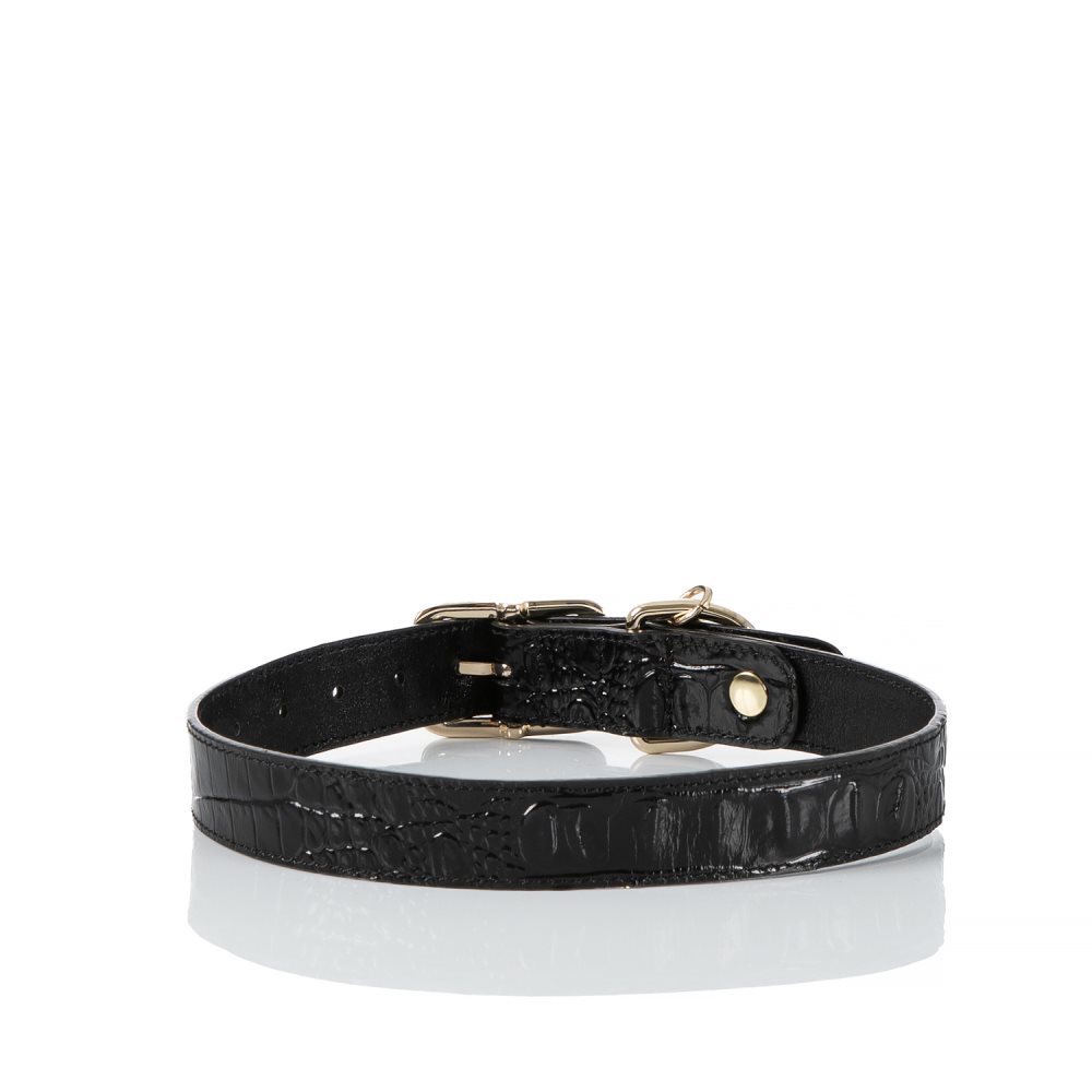 Brahmin Large Pet Collar Black Melbourne