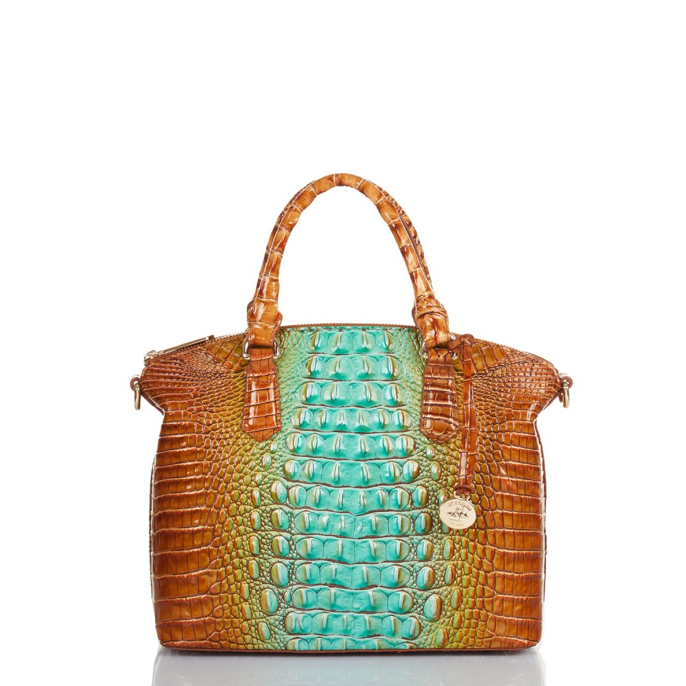 Brahmin Duxbury Satchel Cactus Ombre Melbourne