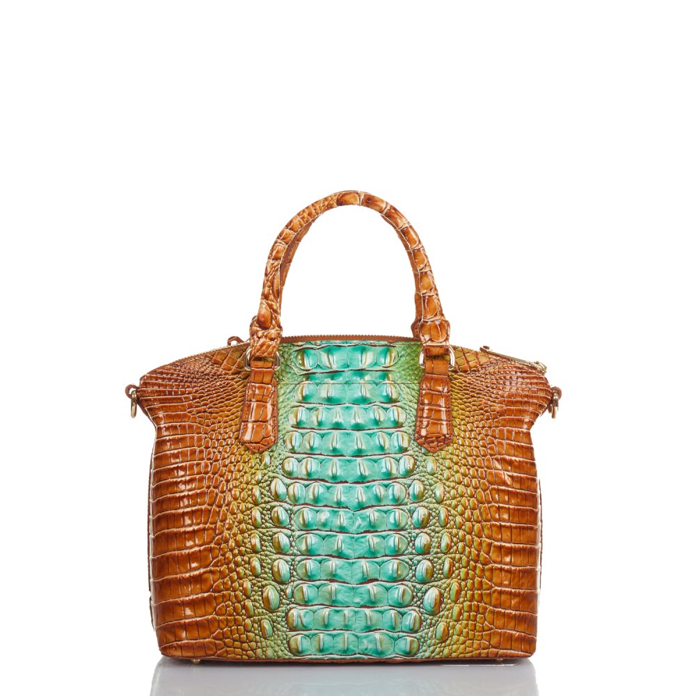 Brahmin Duxbury Satchel Cactus Ombre Melbourne