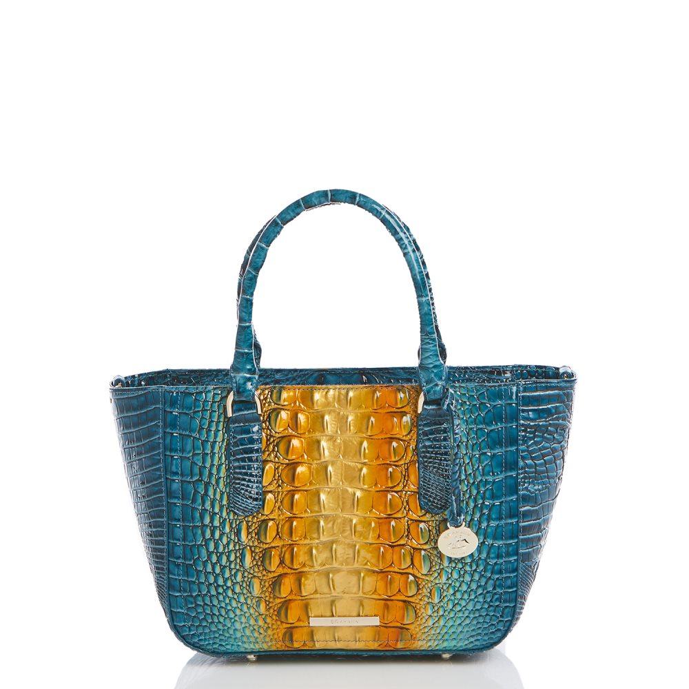 Brahmin Small Ashlee Bermuda Ombre Melbourne